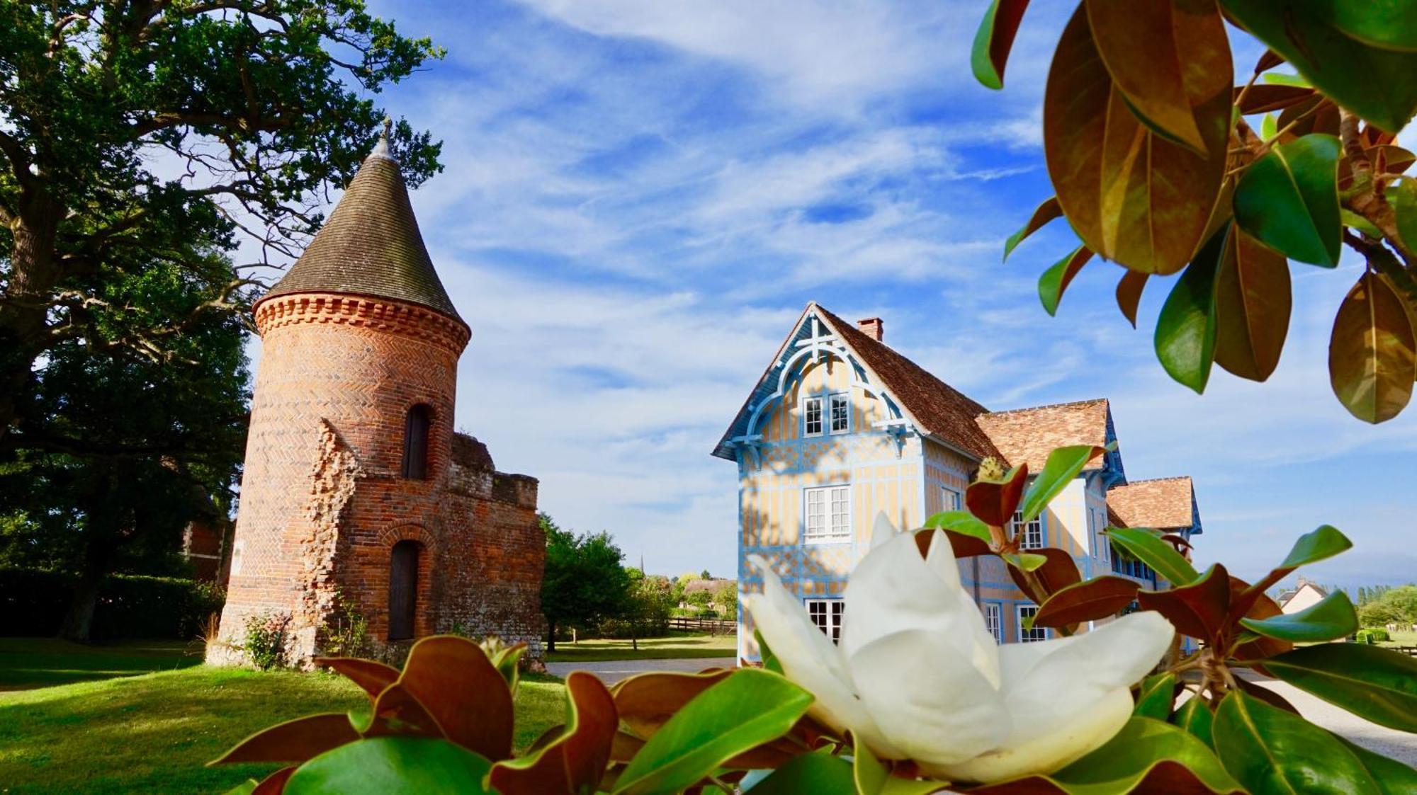 Chateau De Tilly Boissey-le-Chatel 외부 사진