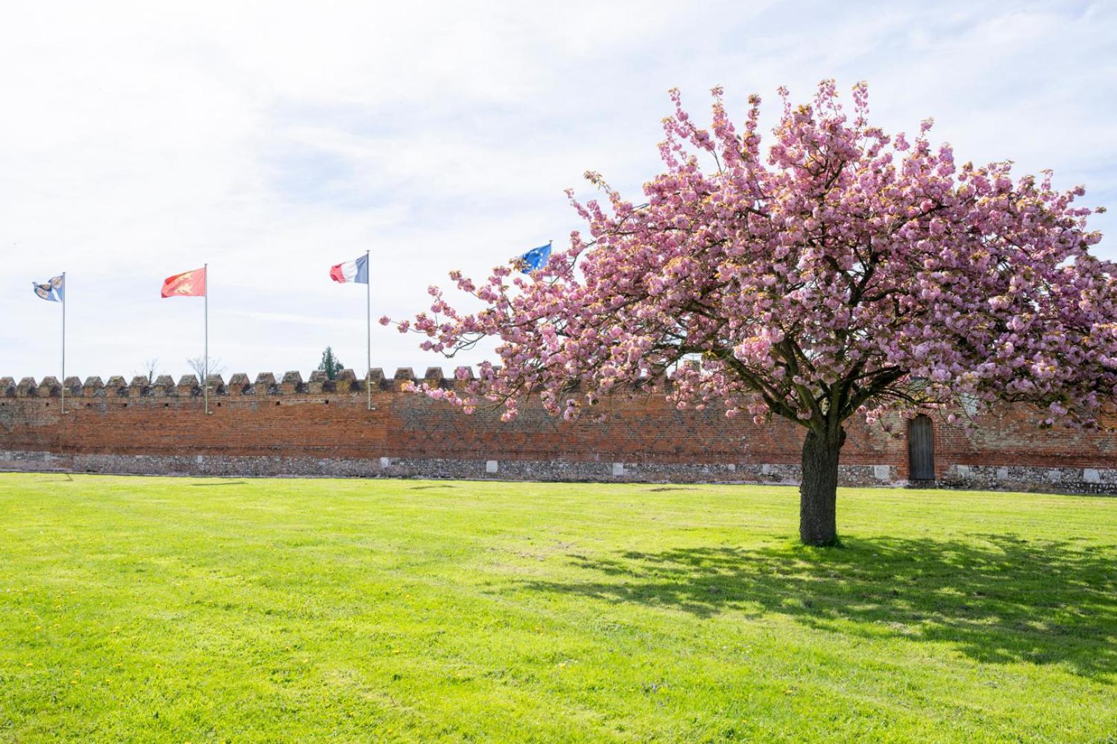 Chateau De Tilly Boissey-le-Chatel 외부 사진